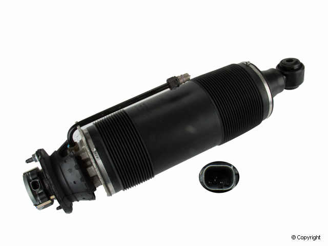Rear Right Suspension Strut | ARNOTT SK-2419 Fits Mercedes-Benz - 8