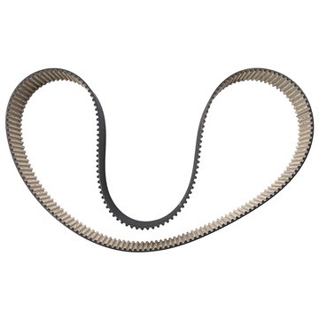 Dayco Engine Timing Belt - 1600DRC8M50 - 2