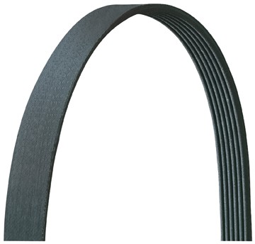 Dayco Serpentine Belt - 5050402DR - Main Image