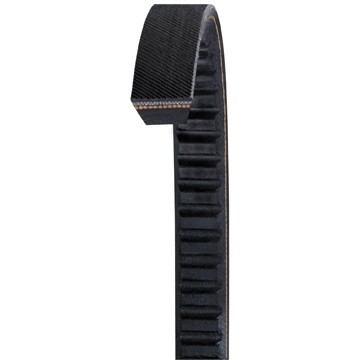 Dayco Accessory Drive Belt - BX30 - 2