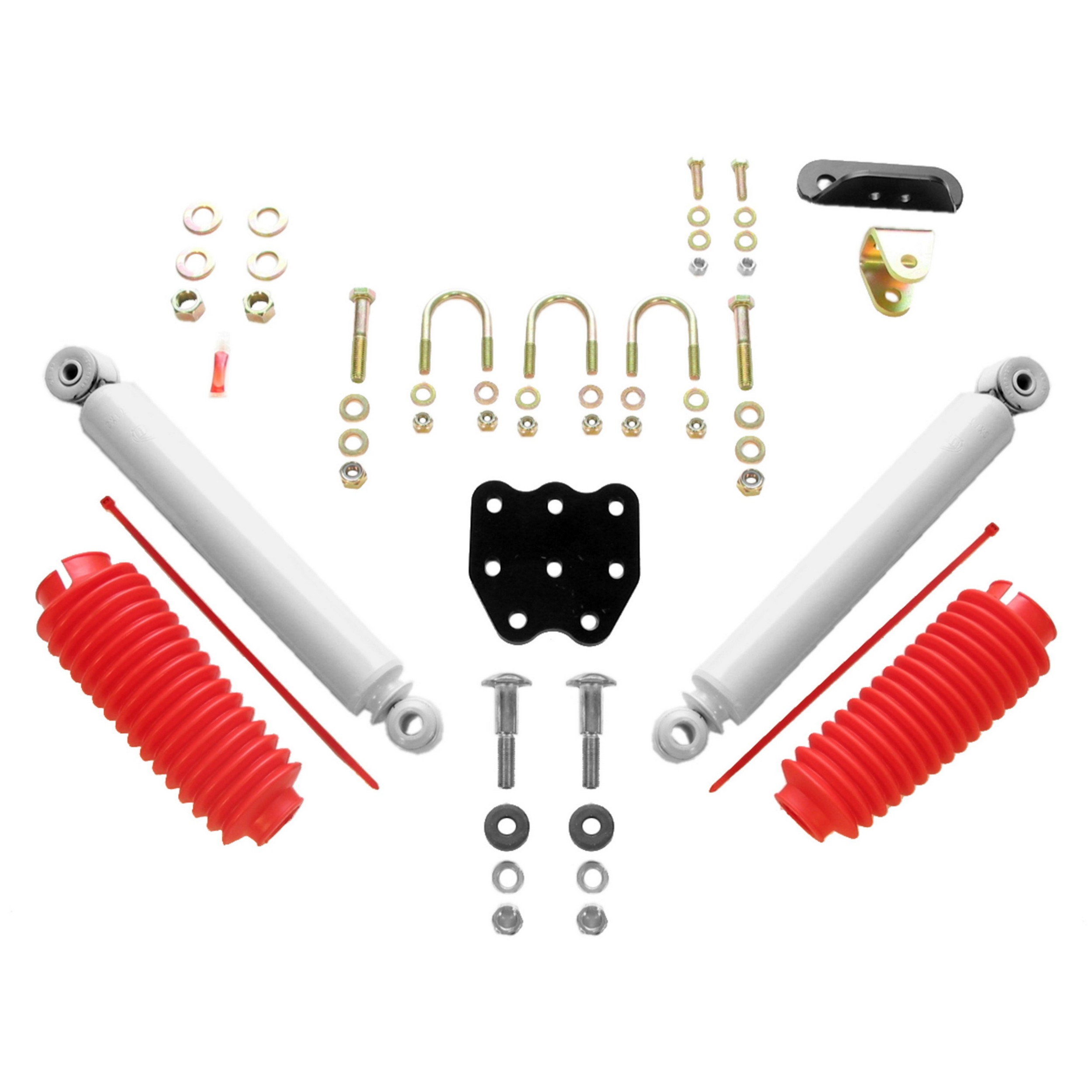 Front Steering Damper Kit | RANCHO RS98509 Fits Ford - Main Image