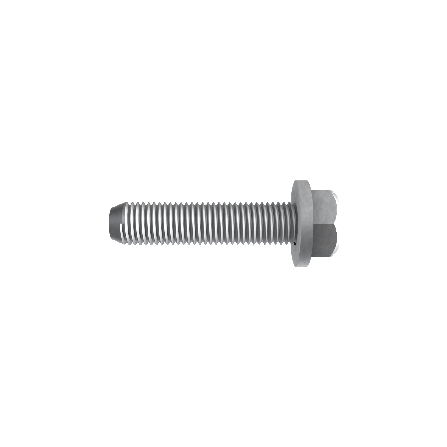 SCREW - SCREW - SCREW - SCREW - SCREW - SCREW - Main Image