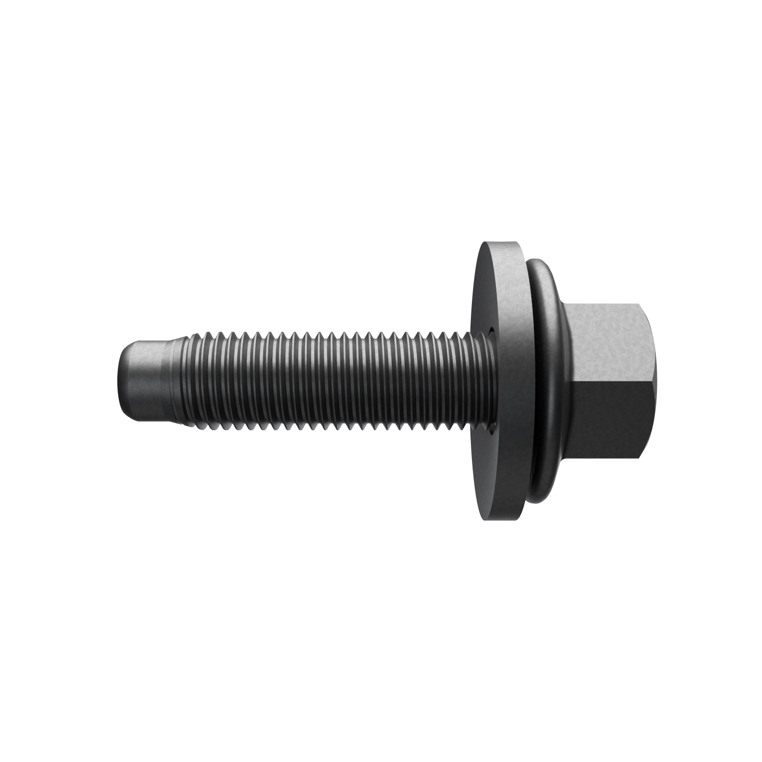 SCREW - Main Image