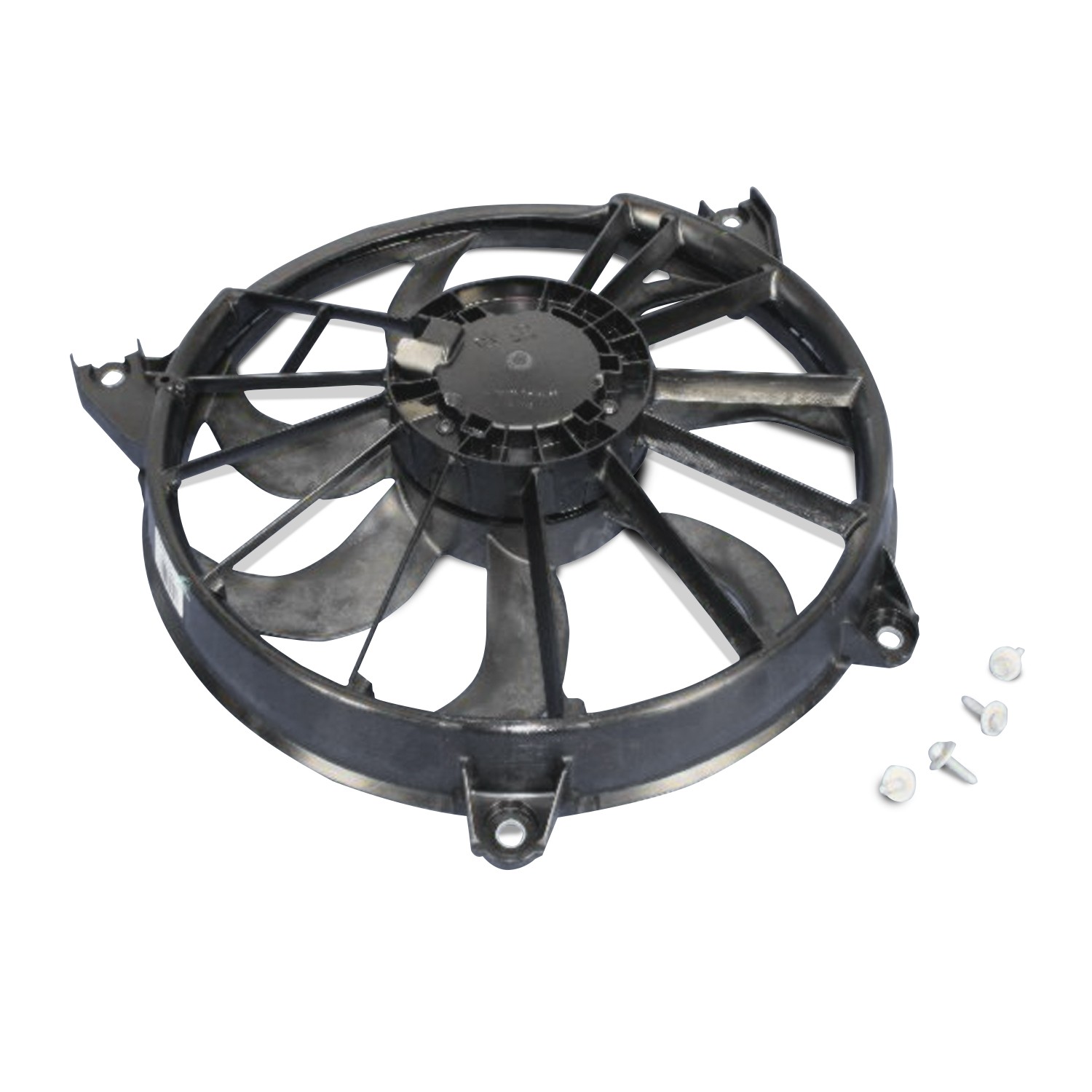MODULE - Main Image