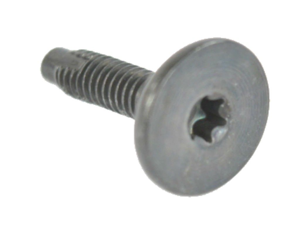 SCREW - Main Image