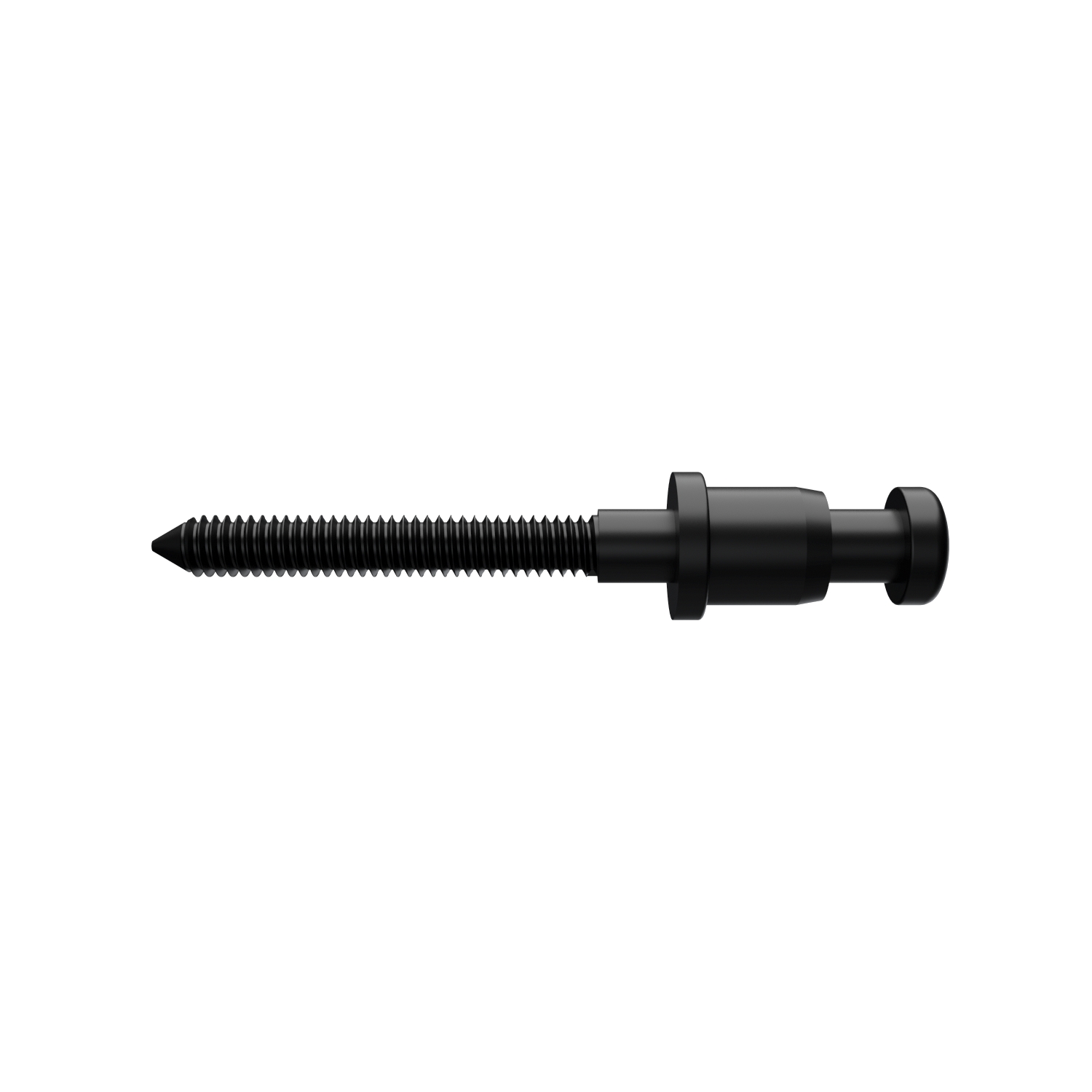 SCREW - Main Image